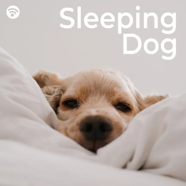 Snoozy Dog Symphony