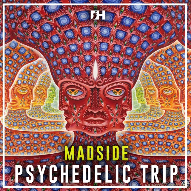 Psychedelic Trip