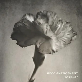 Recommencement by Elodie Acy