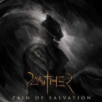 PANTHER by Pain of Salvation