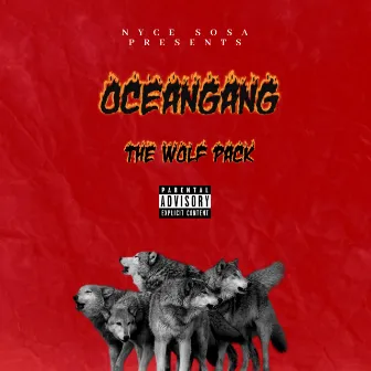 The Wolf Pack by Nyce Sosa