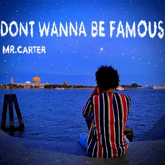 Don't Wanna Be Famous by Mr.Carter