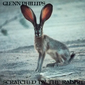 Scratched By The Rabbit by Glenn Phillips