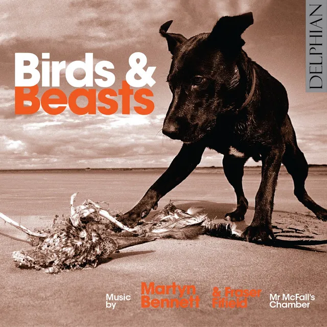 Birds & Beasts - Music by Martyn Bennett & Fraser Fifield