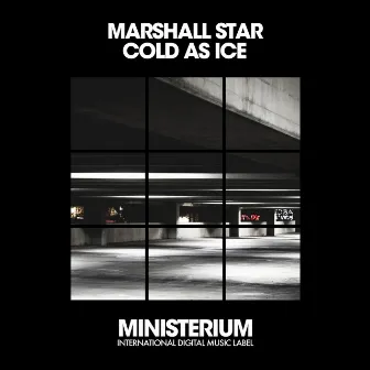 Cold As Ice by Marshall Star