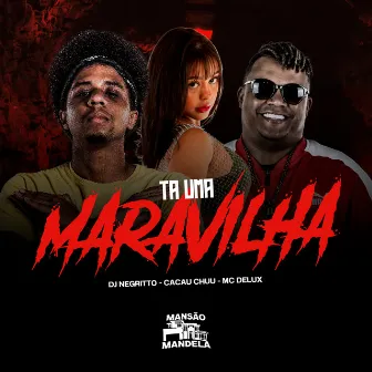 Ta uma Maravilha by DJ Negritto