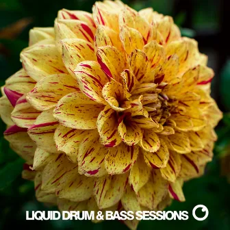 Liquid Drum & Bass Sessions Vol 11 by Dreazz