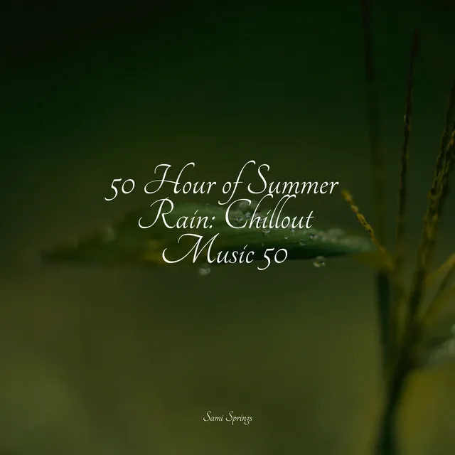 50 Hour of Summer Rain: Chillout Music 50