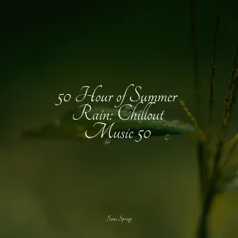 50 Hour of Summer Rain: Chillout Music 50 by Relajacion Del Mar