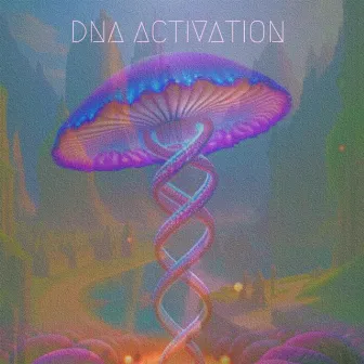 DNA Activation by Shivlune