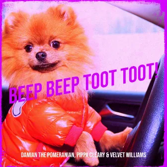 Beep Beep Toot Toot! by Pippa Cleary