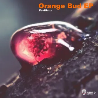 Orange Bud EP by FeelNoize