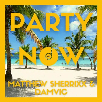 Party Now by Damvic