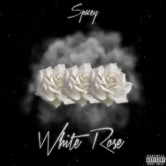 White Rose by Spacey