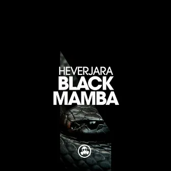 Black Mamba by Hever Jara