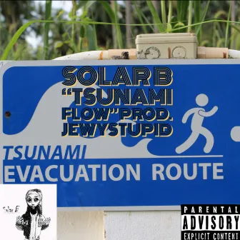 Tsunami Flow by Solar B