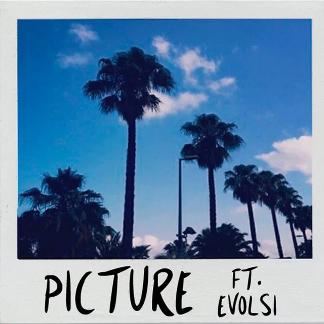 Picture (feat. Evolsi)