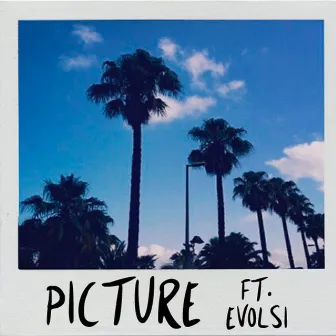 Picture (feat. Evolsi) by Swanbeats