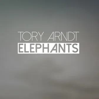 Elephants by Tory Arndt