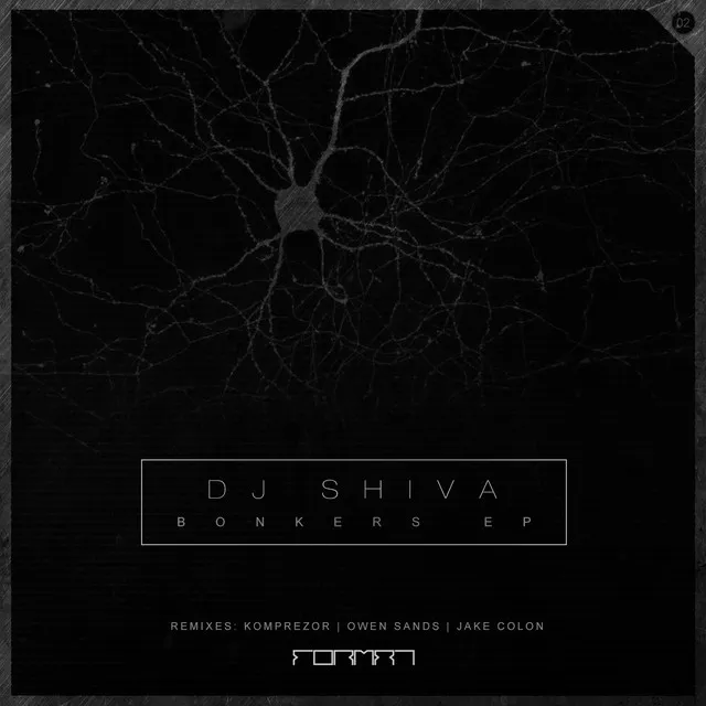 DJ Shiva