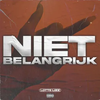 Niet Belangrijk by Lotte Lizz