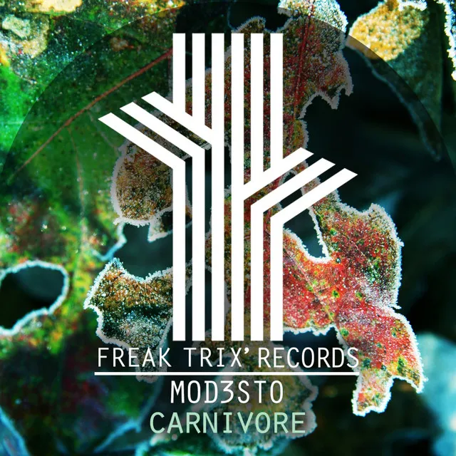 Carnivore - Original Mix