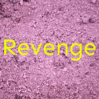 Revenge by Revenge