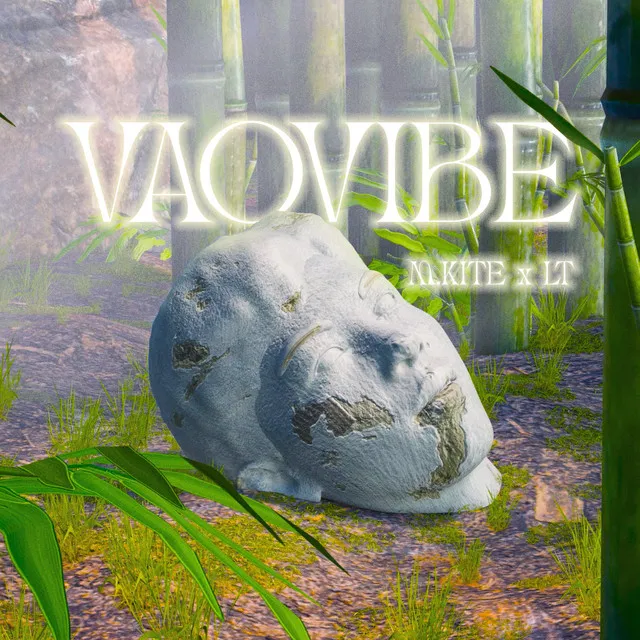 VAOVIBE