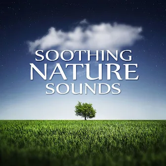 Soothing Nature Sounds - Ocean Waves, Well Being, Healing Yoga, Massage Music Therapy, Bliss Spa, Nature Sounds by Nature Sounds Collective