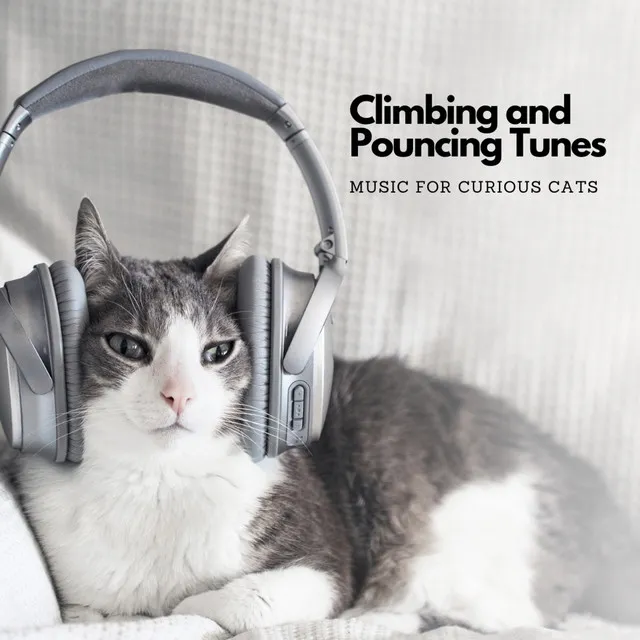 Climbing and Pouncing Tunes: Music For Curious Cats