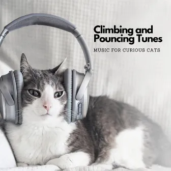 Climbing and Pouncing Tunes: Music For Curious Cats by Sunrise Above Water