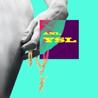 YSL by ANL