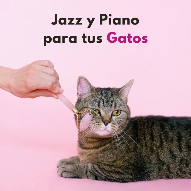 Jazz Y Piano Para Tus Gatos