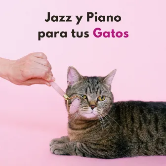 Jazz Y Piano Para Tus Gatos by Barra de jazz con piano