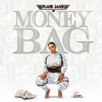 Money Bag by Plane Jane