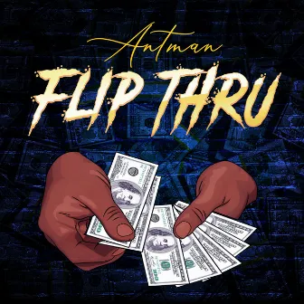 Flip Thru It by Antman