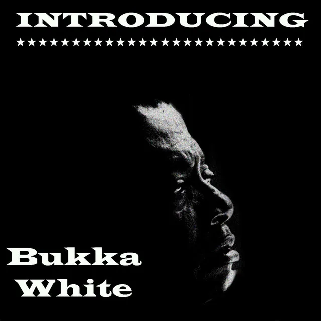 Introducing Bukka White