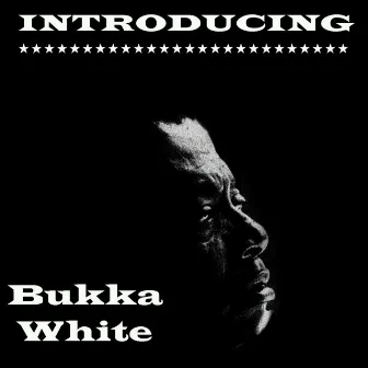 Introducing Bukka White by Bukka White