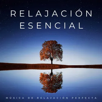 Relajación Esencial: Música De Relajación Perfecta by Música de Fondo para Salón de Restaurante