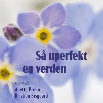 Så uperfekt en verden by Kristian Bisgaard