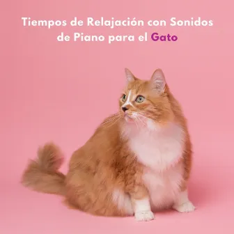 Tiempos De Relajación Con Sonidos De Piano Para El Gato by Música española de café