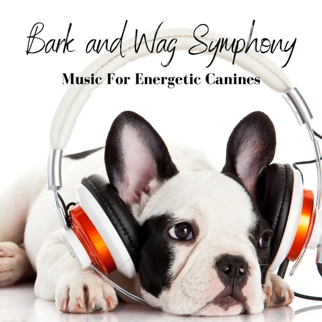 Bark and Wag Symphony: Music For Energetic Canines