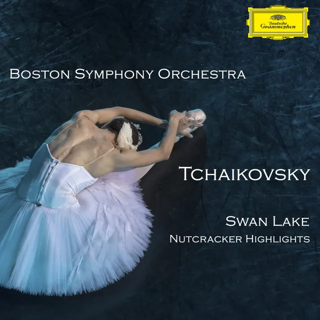 Swan Lake, Op. 20, TH 12 / Act II: No. 14 Scène (Moderato)