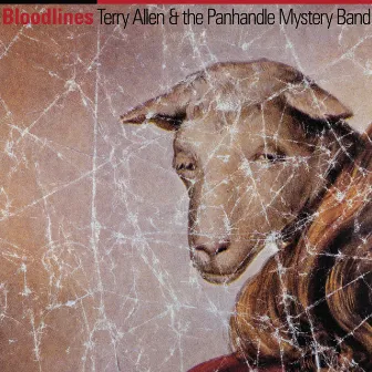 Bloodlines by The Panhandle Mystery Band