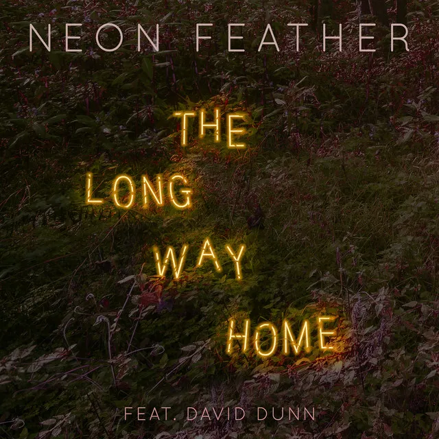 The Long Way Home (feat. David Dunn)