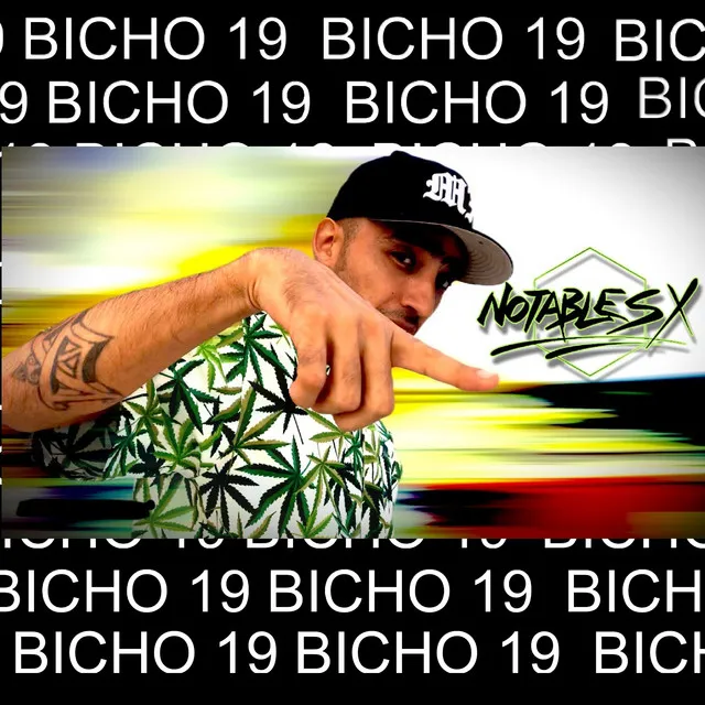 Bicho 19