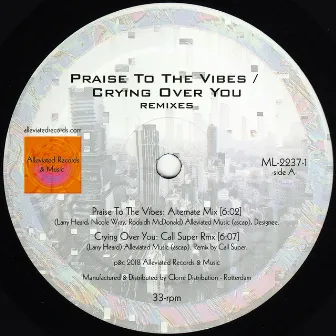 Praise to the Vibes / Crying Over You (Remixes) by Mr. Fingers