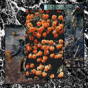 In Bloom by Waste