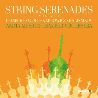 String Serenades, Volume 4 by Anima Musicæ Chamber Orchestra