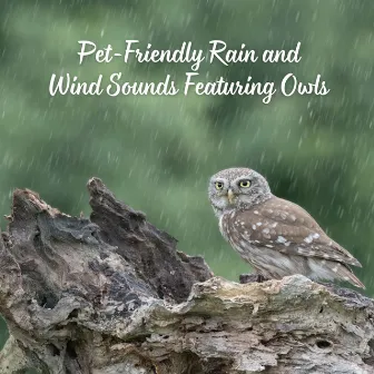 Pet-Friendly Rain and Wind Sounds Featuring Owls by Thankful For The Rain